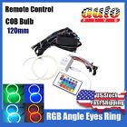 Pcv-cp1bl 120mm Vision Polycarbonate Light Cover Lighting Cannon