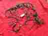 15176638 2002 Envoy Trailblazer Bravada Wiring Harness Gm Pn