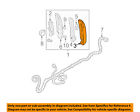 16506355 Gm Oem Taillight Tail