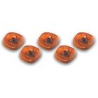 20-230 Pacer Performance Roof Marker
