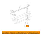 22779876 Gm Oem License Plate