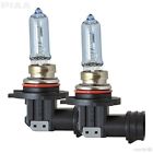 23-10109 Piaa Xtreme White Hybrid Bulbs Pair Pack 722935810256
