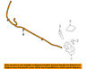 61677892579 Bmw Oem Head Hose