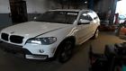 63177184318 Bmw Rh Passenger Side Fog Light Sku