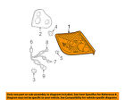 8156121230 Toyota Scion Oem Tc Taillight Tail Housing Left