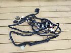 Bc3z-14405-cua Ford New Oem Rear Lamp Wiring Assembly