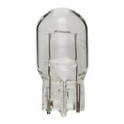 Bp7440ll Wagner Back Up Light Bulb Lighting 042723942366 Bp7440ll Wagner Back Up Light Bulb Lighting 042723942366