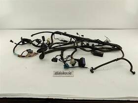 Ljc3120be Jaguar 1999 X100 Xk8 Coupe Headlight Lamp Wiring Wire Harness Ljc3120be Jaguar 1999 X100 Xk8 Coupe Headlight Lamp Wiring Wire Harness