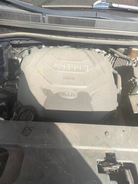 114-10555r Kia Passenger Headlight Halogen Projector Fits 19-21 Sedona 155176 114-10555r Kia Passenger Headlight Halogen Projector Fits 19-21 Sedona 155176