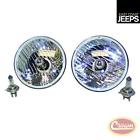 Hc1000 Kit Conversion Halogen 7 Lamp " Crown