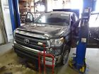 119526 Lamp 2014 Tundra Tail