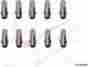 N177222 Jahn New Light Bulb 2w 10 Lamp 884109467564