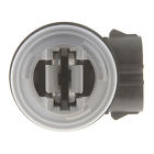 84764 Parking Dorman Light Socket