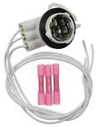 25623223513 S-1726 Standard Parking Light Bulb