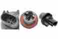 57-4780 S-779 Standard Tailight Socket Fits 2000-2001
