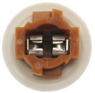 1802-307262 S-815 Standard Running Board Lamp Socket Fits Mercury Mountaineer 091769618780
