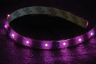 Nlf524cbpr Strip Pipedream 24 - " Audiopipe Flexible Purple Led
