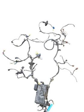 647.to1503 Toyota 4 Runner 2003 Lamp Wiring Harness 641686