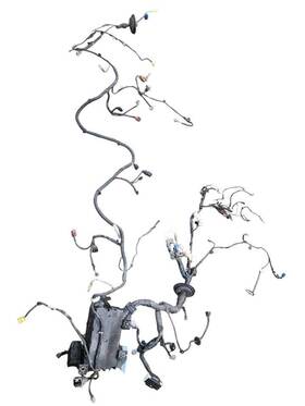 Toyota 647.to1505 4 Runner 2005 Lamp Wiring Harness