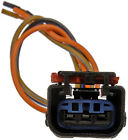 645-187 Turn Light Signal Socket Dorman