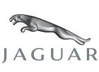 Xr855196 Jaguar Genuine Oem Holder-bulb