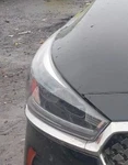 2017-2019 Kia Cadenza Passenger Hid Xenon Headlight Lamp Oem. Fixed Price $893.58.
