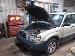 Forester 2003 High Mounted Stop Light 2070272. Fixed Price $50.00.