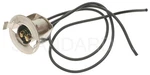 Light Socket Standard Motor Products S31N. Fixed Price $18.06.