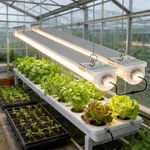 8-PACK Led Plant Lights 2FT 24W Linkable Growing Lamps For Greenhouse. Fixed Price $95.80.