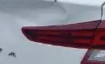 2019-2020 Hyundai Elantra Rh Passenger Lid Mounted Tail Light Lamp Oem. Fixed Price $371.60.