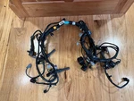 1998-2002 Lincoln Town Car Ford Crown Victoria Engine Wire Wiring Harness Oem. Fixed Price $299.00.