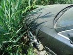 Passenger Headlight Xenon Hid Without Adaptive Fits 06-10 Audi A8 1657709. Fixed Price $272.00.