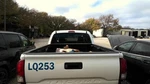 Tacoma 2020 High Mounted Stop Light 1886479. Fixed Price $144.99.