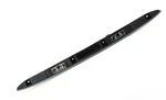 Genuine Bmw E53 Trunk Lid Handle Grip With Key Button License Plate Lighting. Fixed Price $385.05.