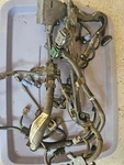 2008 Honda Accord Lx Sedan Engine Wiring Harness 2.4 Automatic. Fixed Price $195.99.