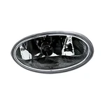 Fog Light Lens & Housing For Acura Tsx 04-08 Driver Side Standard Line. Fixed Price $48.24.