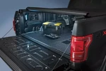 Genuine Ford Bed Cargo Illumination JL3Z13E754A. Fixed Price $251.21.