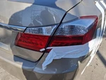 2013 Honda Accord Passenger Tail Light Assembly Oem Used 166-60186BR. Fixed Price $110.58.