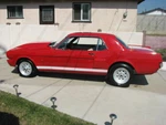 All Body Style Early 64 - 75 Mustang Plain Side Stripes Graphics Decals. Fixed Price $33.16.