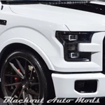 2015-2017 Ford F-150 Complete Blackout Kit Headlight Tail Smoked Vinyl. Fixed Price $37.99.