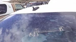 Passat 2006 High Mounted Stop Light 30941012. Fixed Price $104.55.