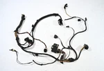 Left Driver Side Xenon Headlight Loom Wiring Harness Plug Oem Bmw 428 435 14-17. Fixed Price $124.95.
