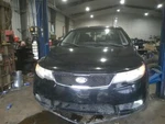 Forte 2011 High Mounted Stop Light 115030. Fixed Price $25.00.