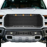 Custom Aftermarket Steel Grille 2017-2020 Ford Raptor Black Hex Made In Usa. Fixed Price $899.95.
