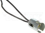 Dorman 84738 2-WIRE Dome And Courtesy Light. Fixed Price $18.99.