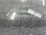 Brake Lamp Sentra 2016 High Mounted Stop Light 668342. Fixed Price $87.32.