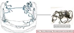 Engine Room Harness Oem 2021 Chevrolet Trailblaz. Fixed Price $200.00.