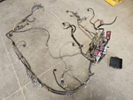 06 Ford F350 Super Duty Used Under Hood 6C3T-12A581-AHA Body Wire Lamp Harness. Fixed Price $899.99.