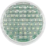 Truck Lite 44205C. Fixed Price $180.00.