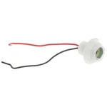 Standard Ignition HP4730 Socket. Fixed Price $22.09.